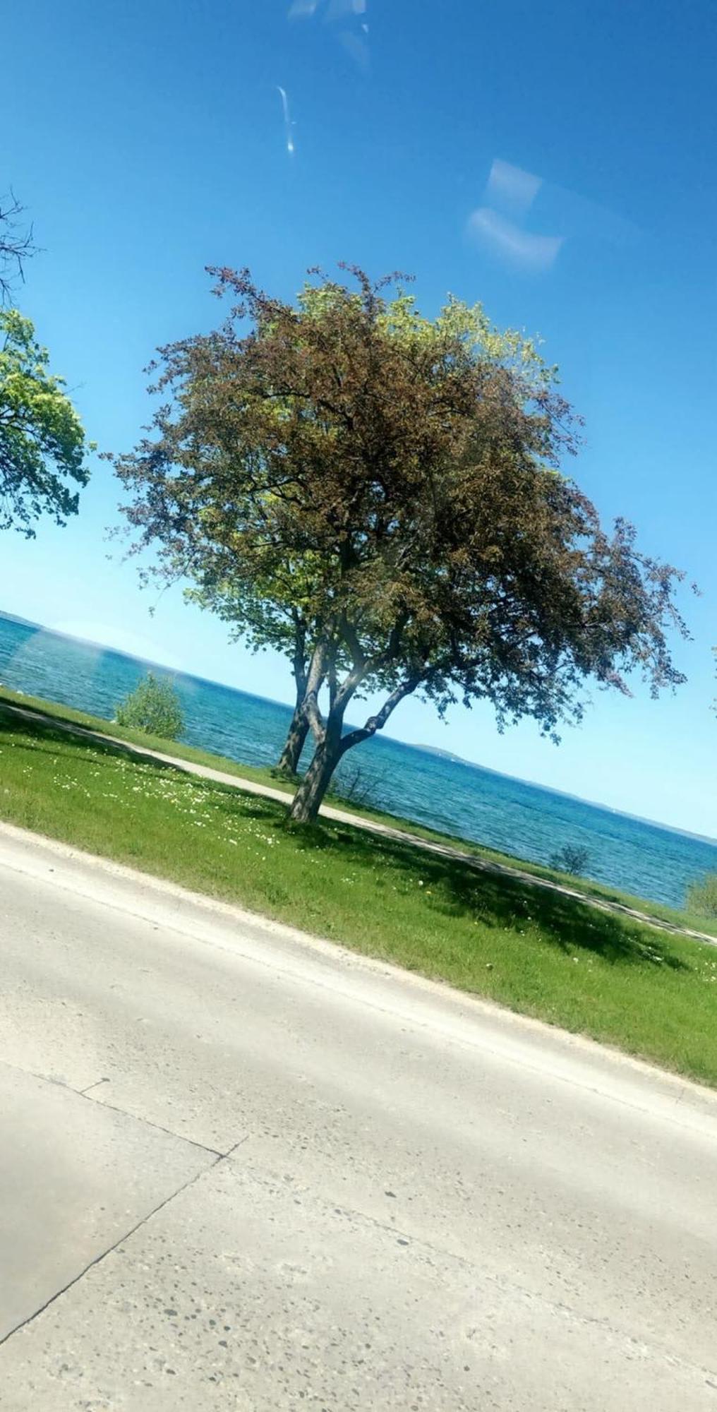 Location Location - Capri Condo 212 Traverse City Exteriör bild